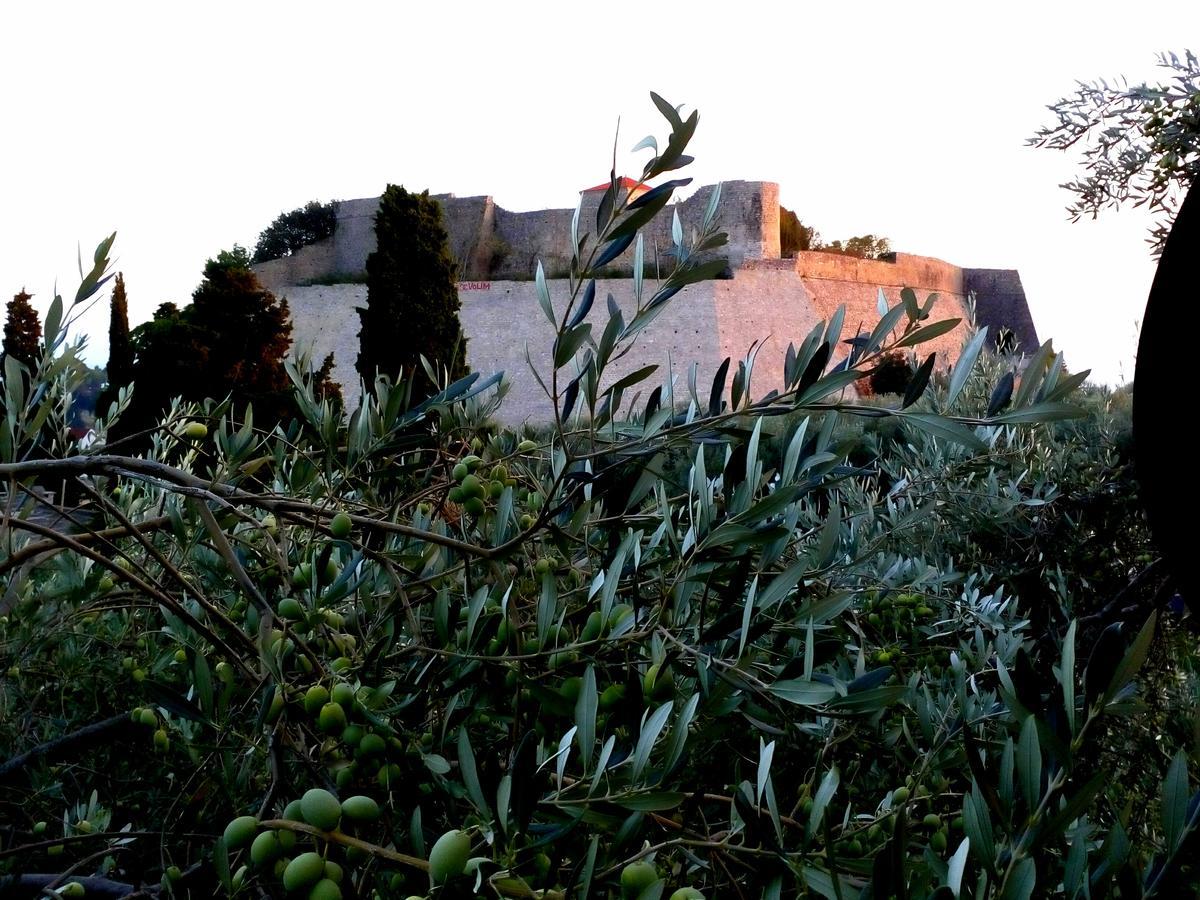 Villa Marija Ulcinj Exterior foto
